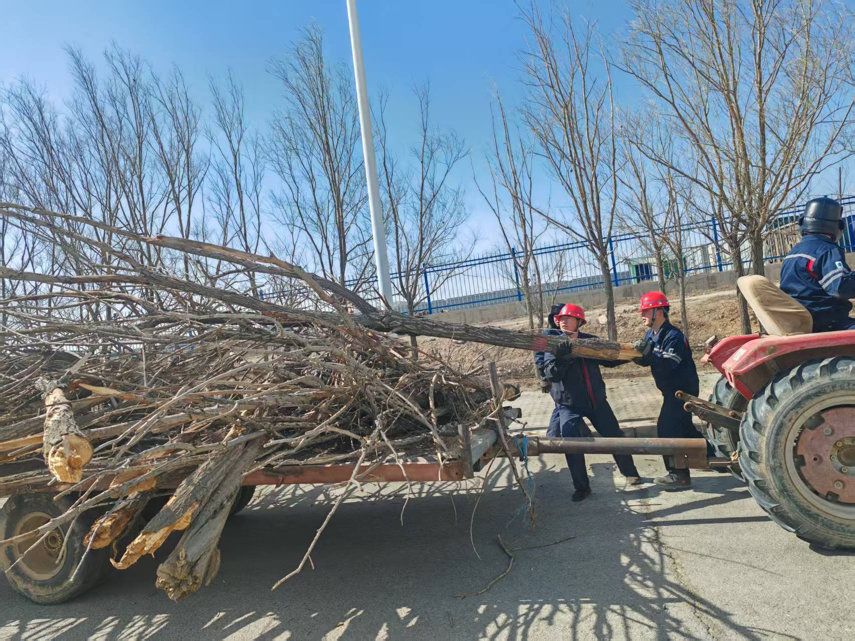 20d877dd-0f8c-11f0-b89e-d46abe133a8a.jpg 20d877dd-0f8c-11f0-b89e-d46abe133a8a.jpg