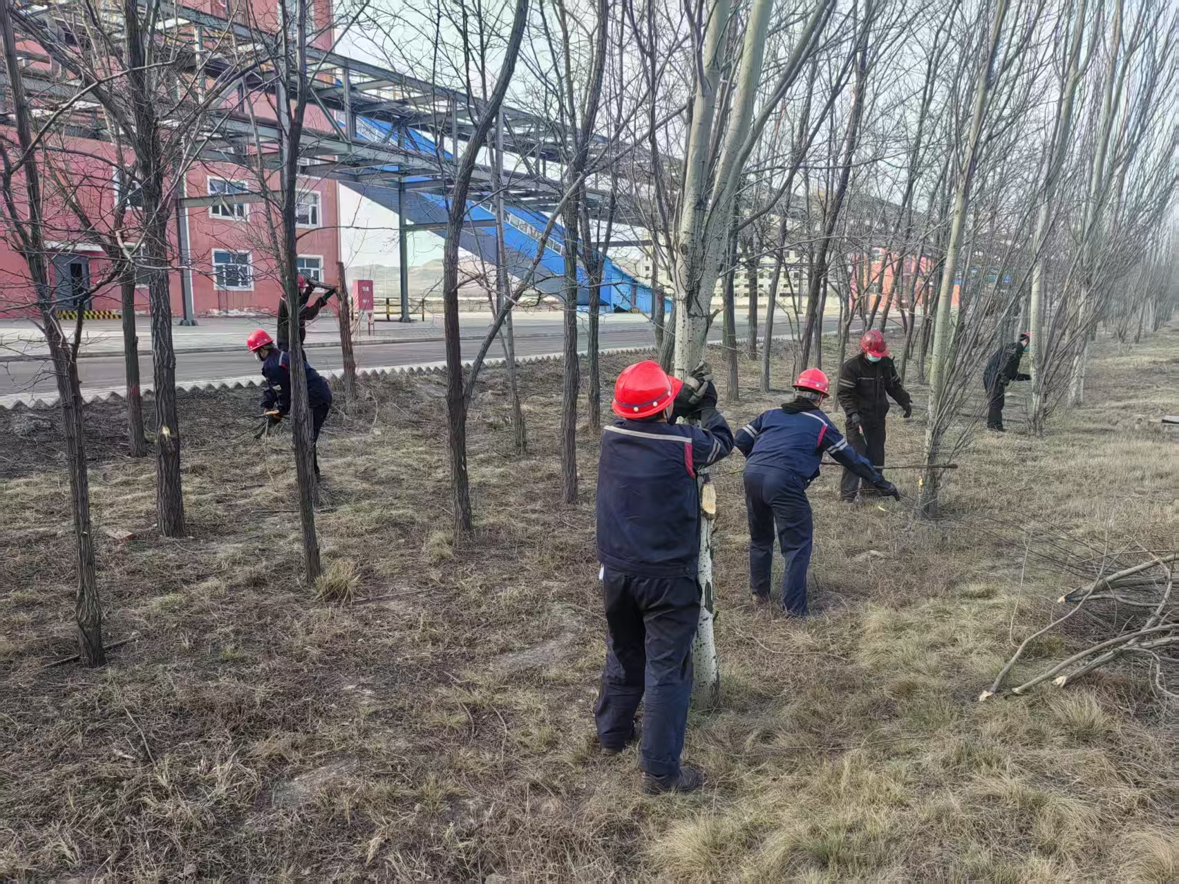 462bf17c-0f8c-11f0-825f-d46abe133a8a.jpg 462bf17c-0f8c-11f0-825f-d46abe133a8a.jpg