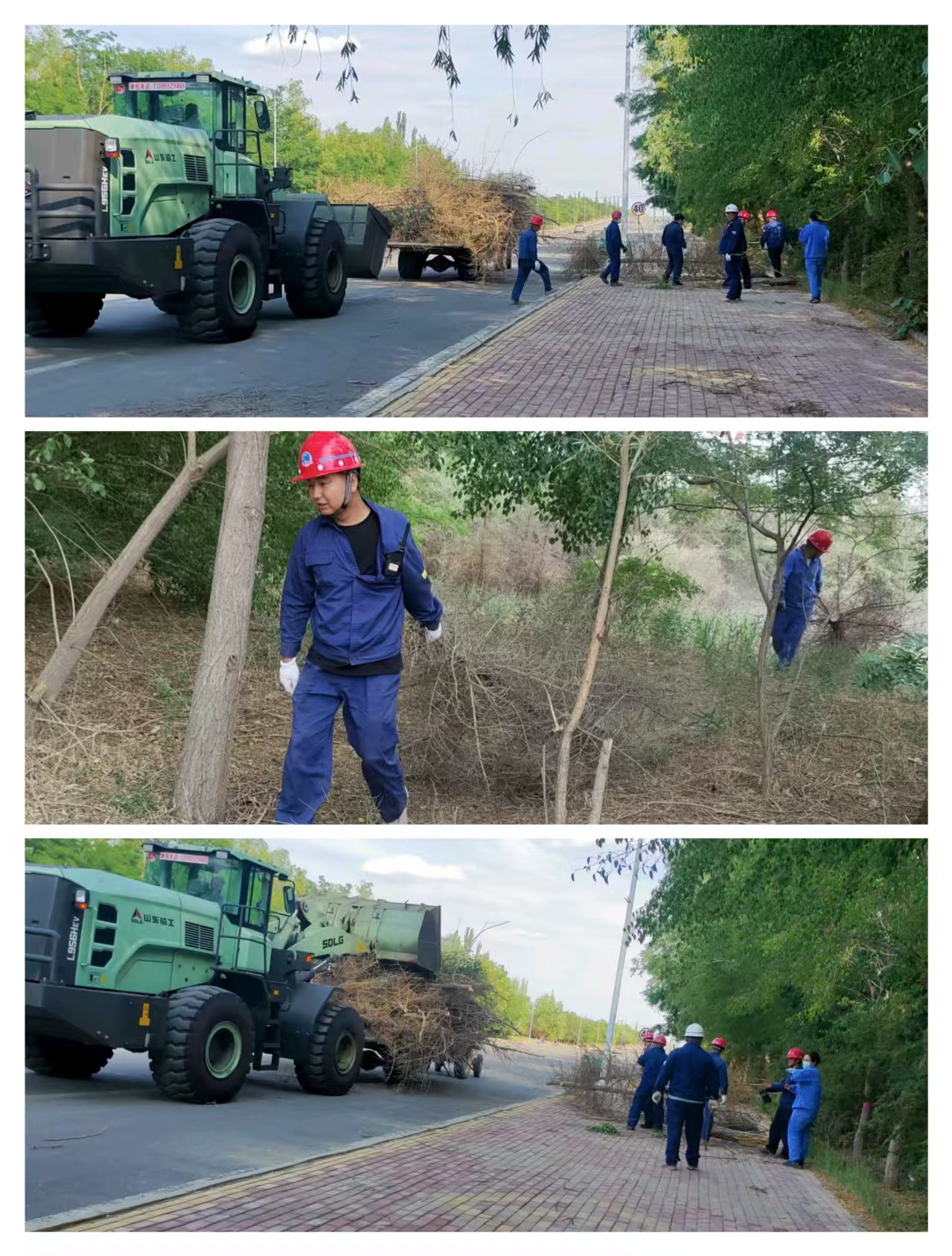 686c3f24-62d7-11f0-ab3d-8cbd52c5c617.jpg 686c3f24-62d7-11f0-ab3d-8cbd52c5c617.jpg